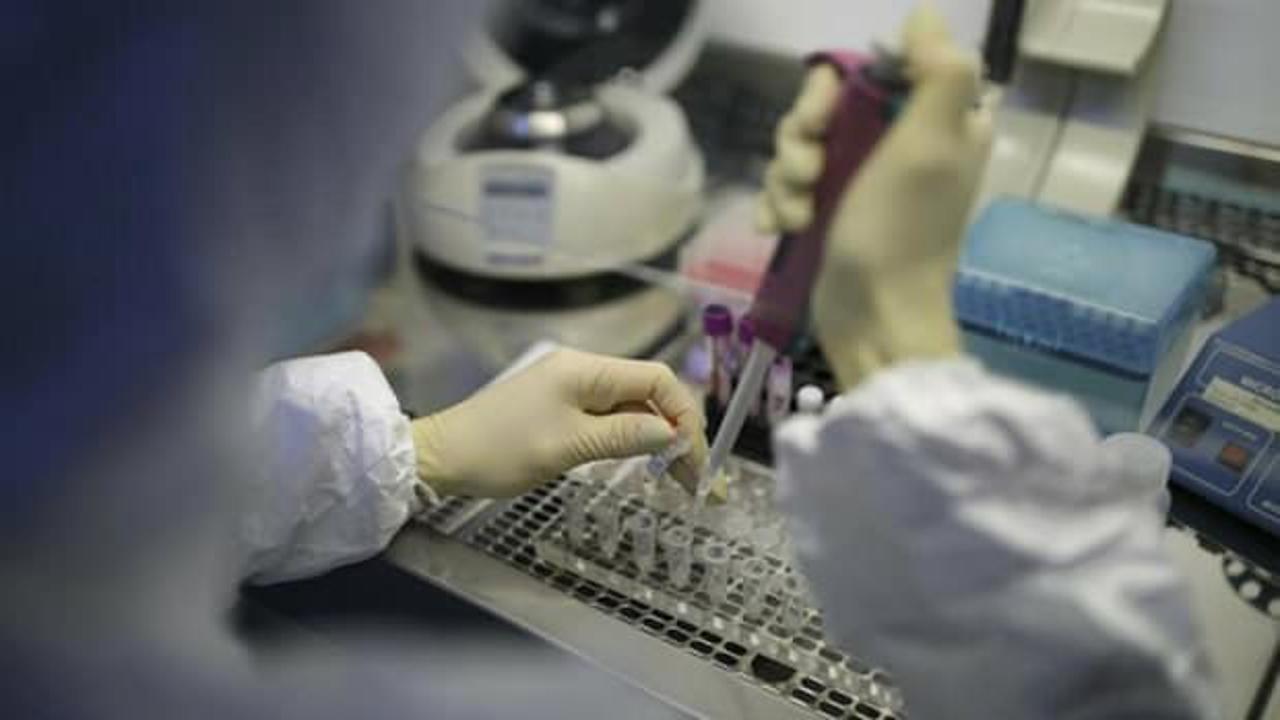 Rusya koronavirüsü tedavi edecek ilacı geliştirdiğini duyurdu