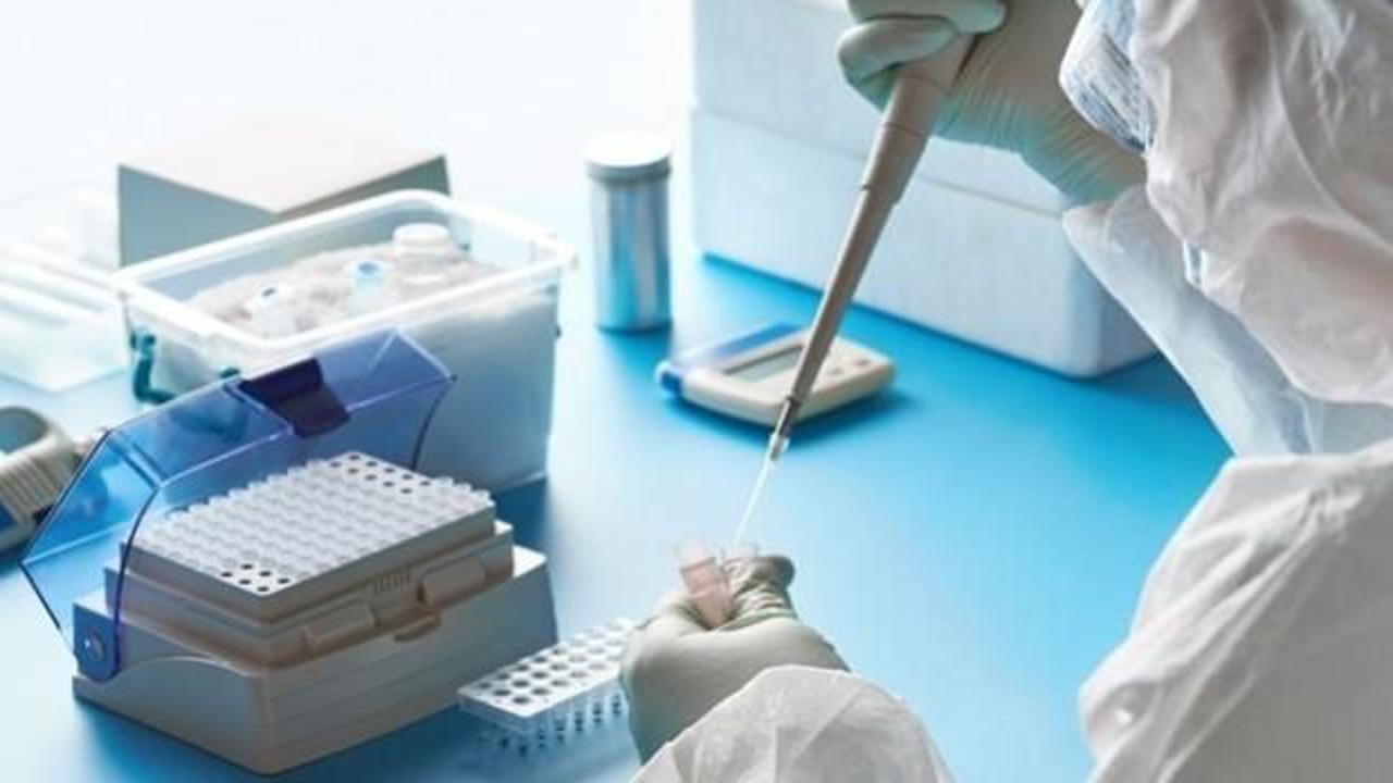 Türk profesör koronavirüs tedavi denemelerine başlıyor