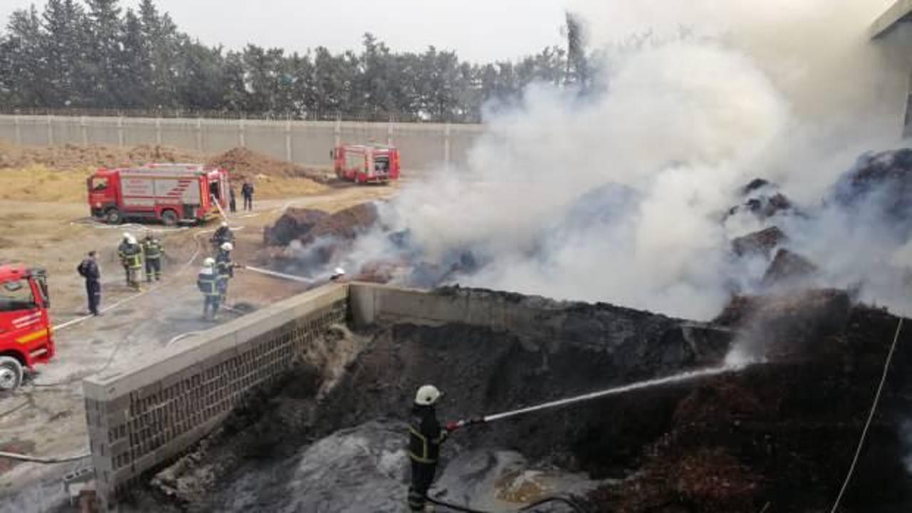 Adana'da pamuk yağı fabrikasında korkutan yangın