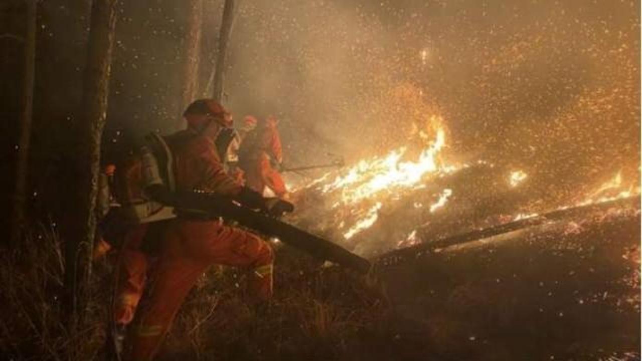 Çin'de orman yangınında itfaiye ekibi mahsur kaldı: 19 ölü