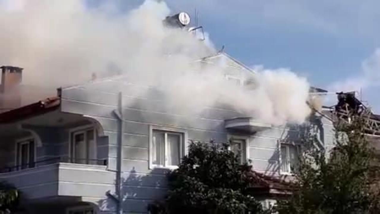 Villanın çatısında çıkan yangında 50 kuş öldü