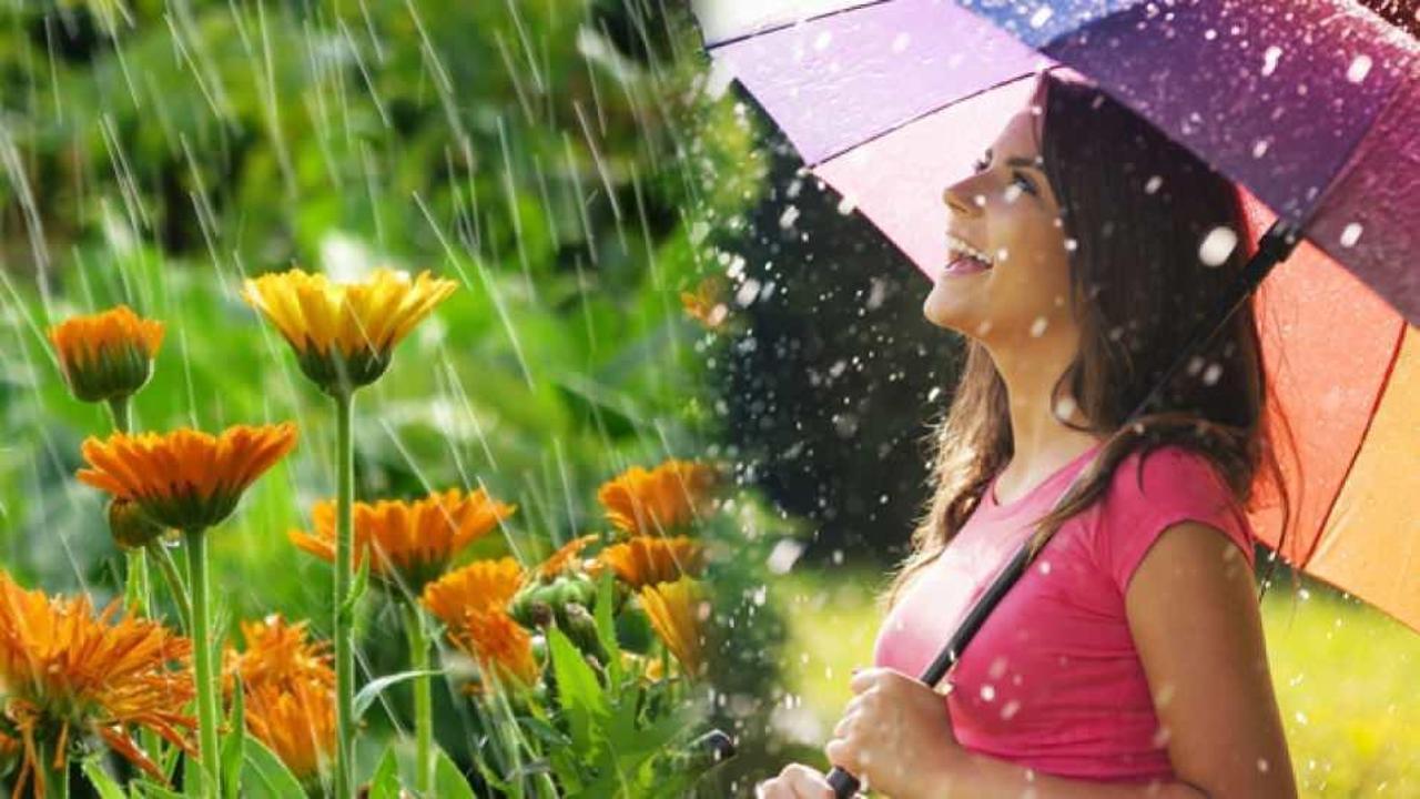 Nisan yağmuru şifalı mı? Yağmur suyuna okunacak dualar neler? Nisan yağmurunun faydaları