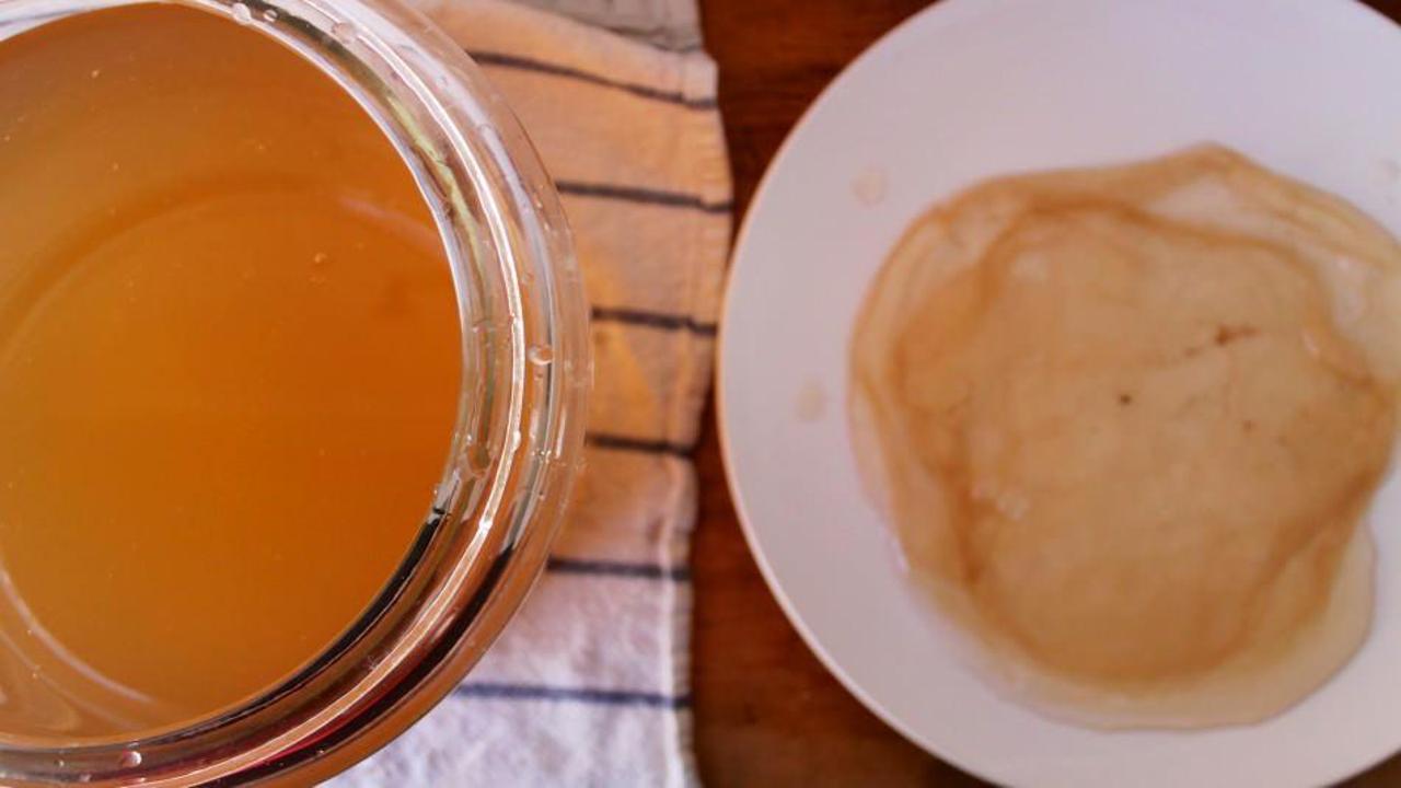 Sirke anası nedir? Sirke anası neyden yapılır? Sirke anası nasıl saklanır?