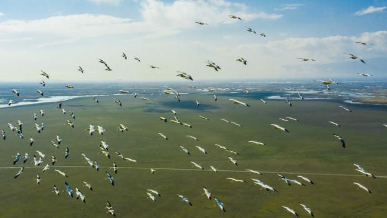 Y&uuml;zlercesi Eber G&ouml;l&uuml;'nde b&ouml;yle g&ouml;r&uuml;nt&uuml;lendi