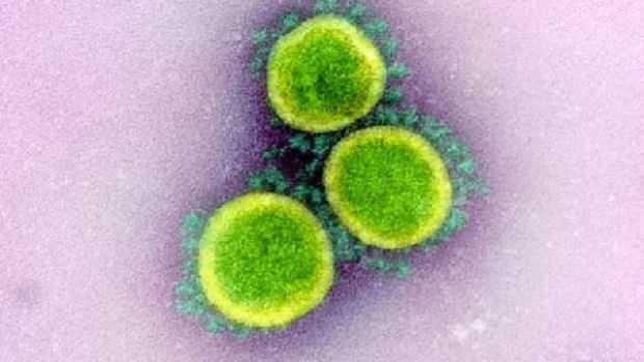 Koronavirüsün nasıl yayıldığı ilk kez görüntülendi