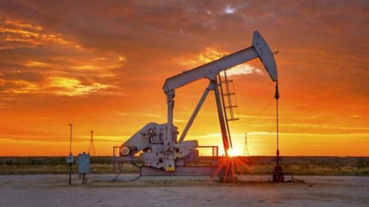 OPEC + koalisyonu petrol üretiminin kısılması konusunda anlaştı