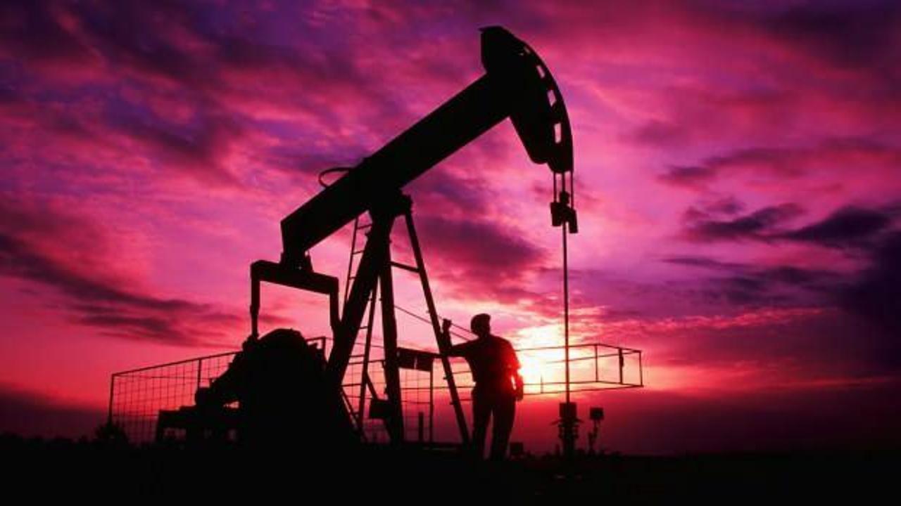 Dünya devi ideal petrol fiyatını açıkladı