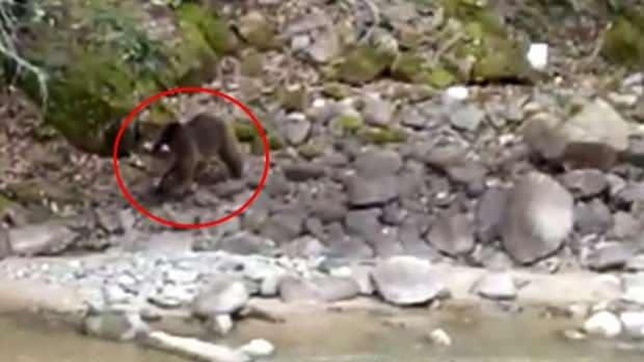 Yer: Rize! İl&ccedil;e merkezine kadar indi