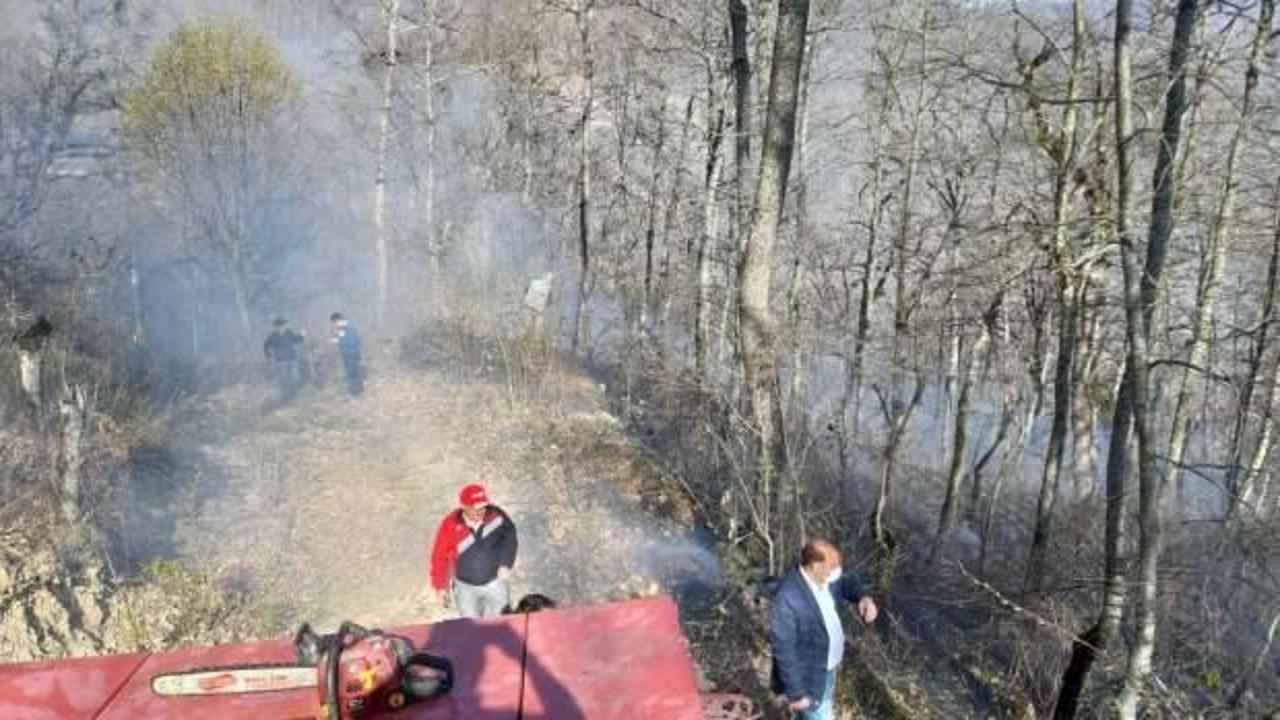 Sinop'ta orman yangını çıktı