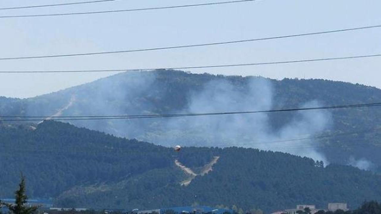 Son dakika: İstanbul'da orman yangını!