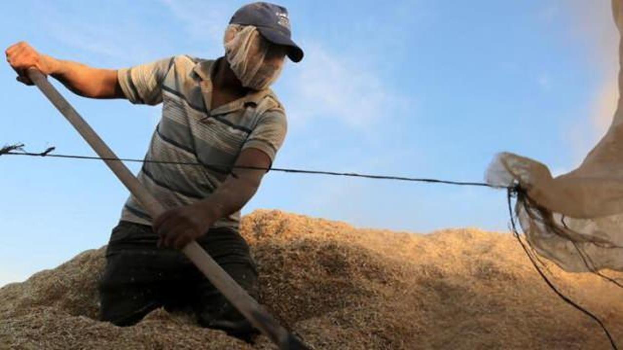 TMO'dan üreticiye ve tüketiciye güvence