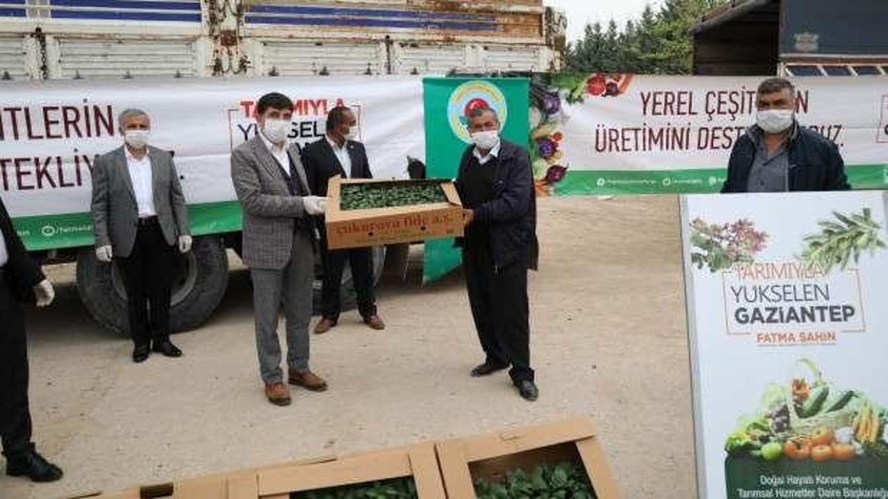 Gaziantep Büyükşehir Belediyesi, çiftçiye yönelik dev desteğini sürdürüyor
