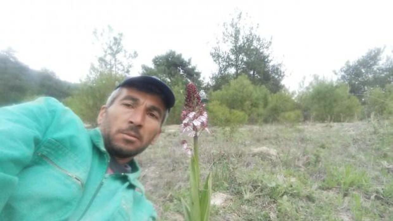 Koparmanın cezası 72 bin lira olan bitkiyle selfie