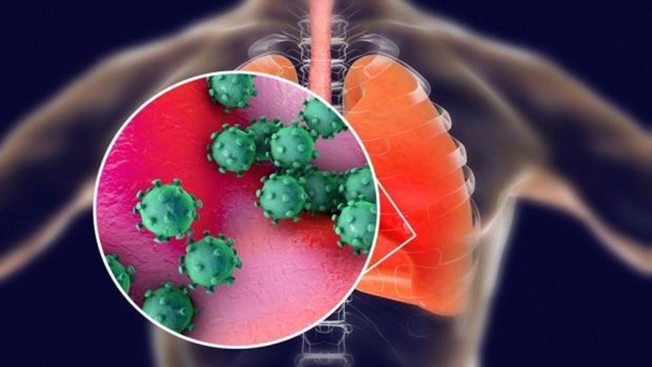 Koronavirüs vücutta 27 güne kadar kalabiliyor! Bilim Kurulu üyesi duyurdu