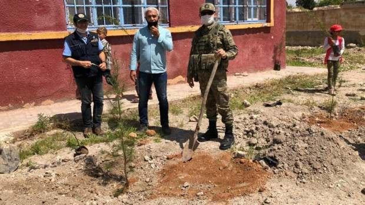 Barış Pınarı bölgesinde içme suyu ve ağaçlandırma faaliyetleri sürüyor