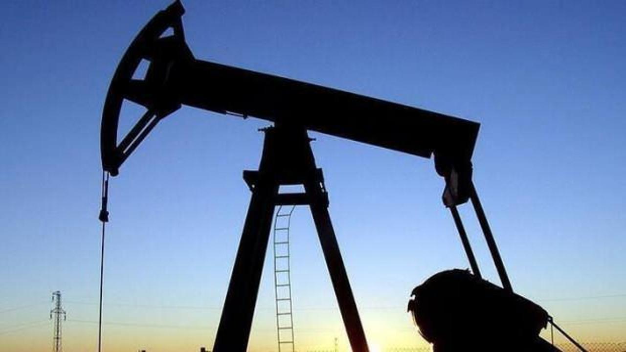 Petrol ithalatı şubatta azaldı