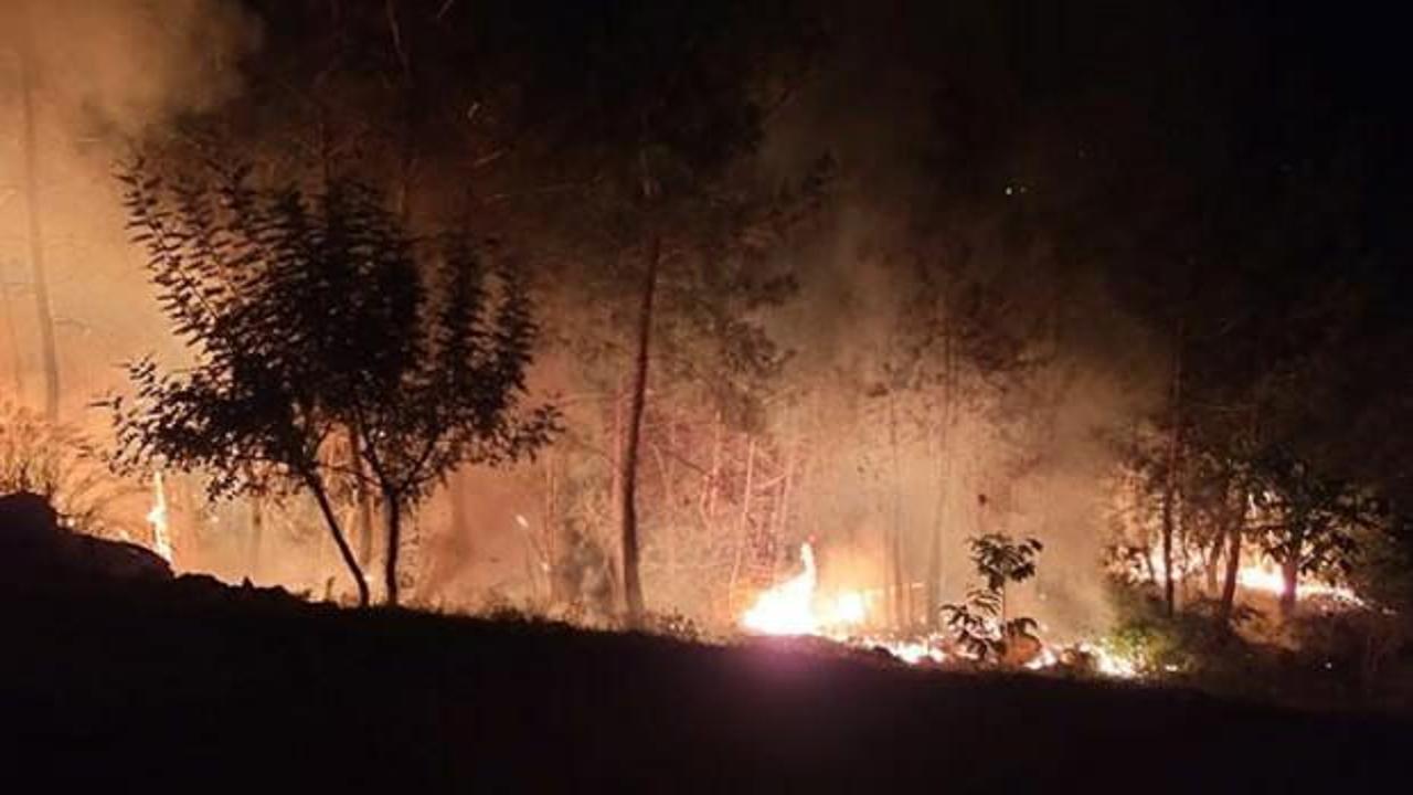 Adana'da orman yangını büyük hasara yol açtı