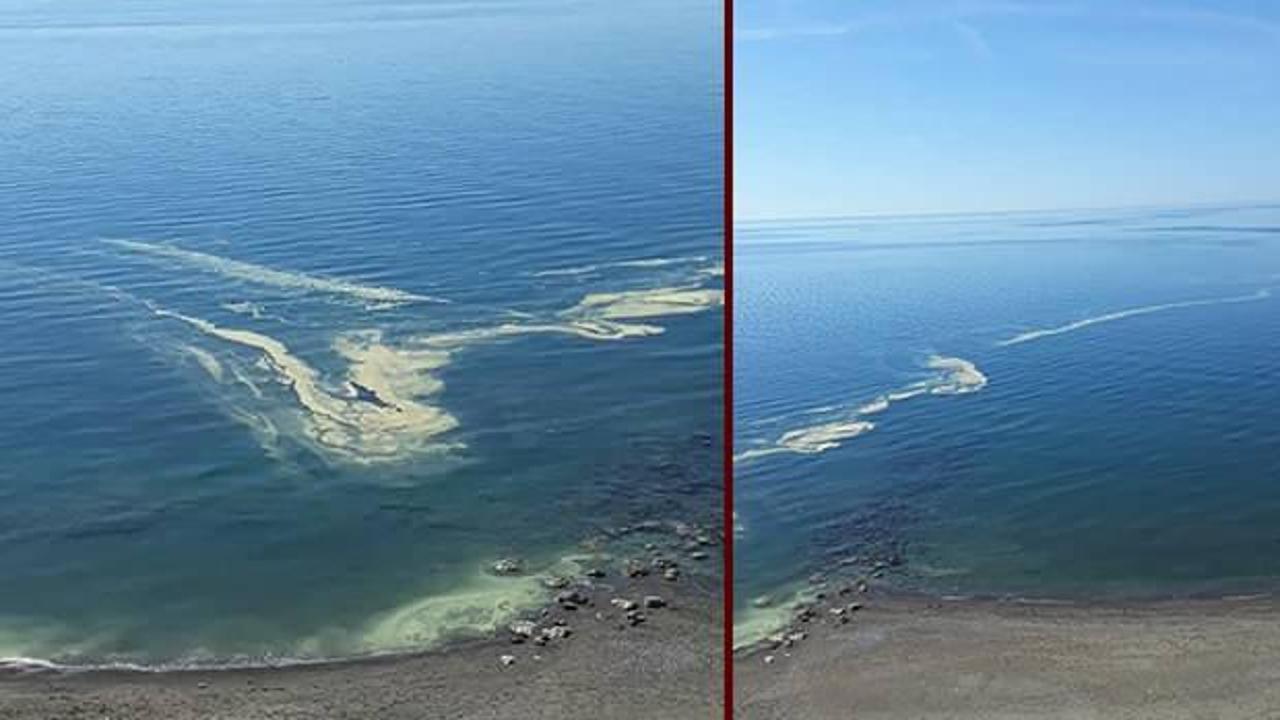 Mersin'de denizdeki renk değişikliğinin sebebi ortaya çıktı
