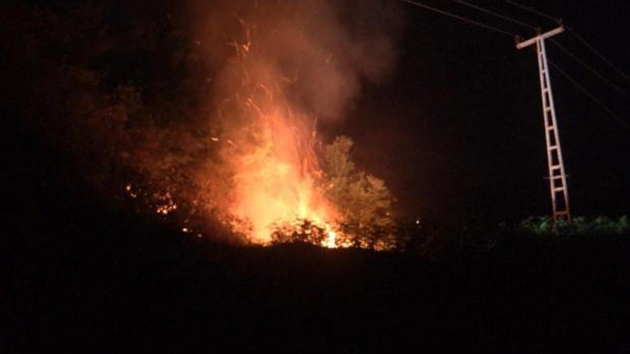 Rize'de orman yangını: Yol olmadığı için müdahale edilemiyor