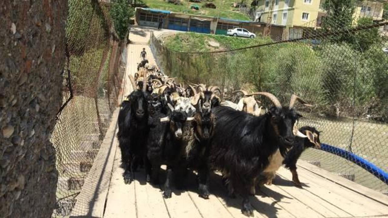 40 yıllık tahta köprüyle ihtiyaçlarını karşılıyorlar