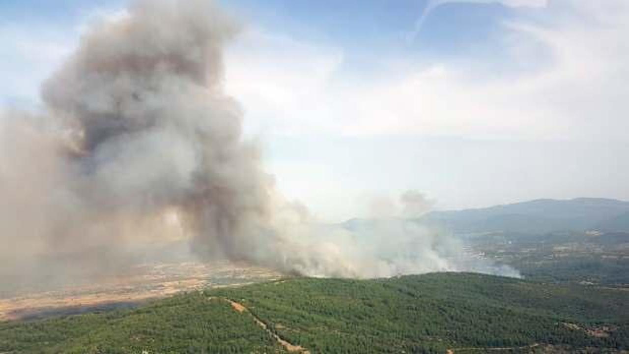 Muğla’daki orman yangını havadan ve karadan müdahaleye rağmen büyüyor