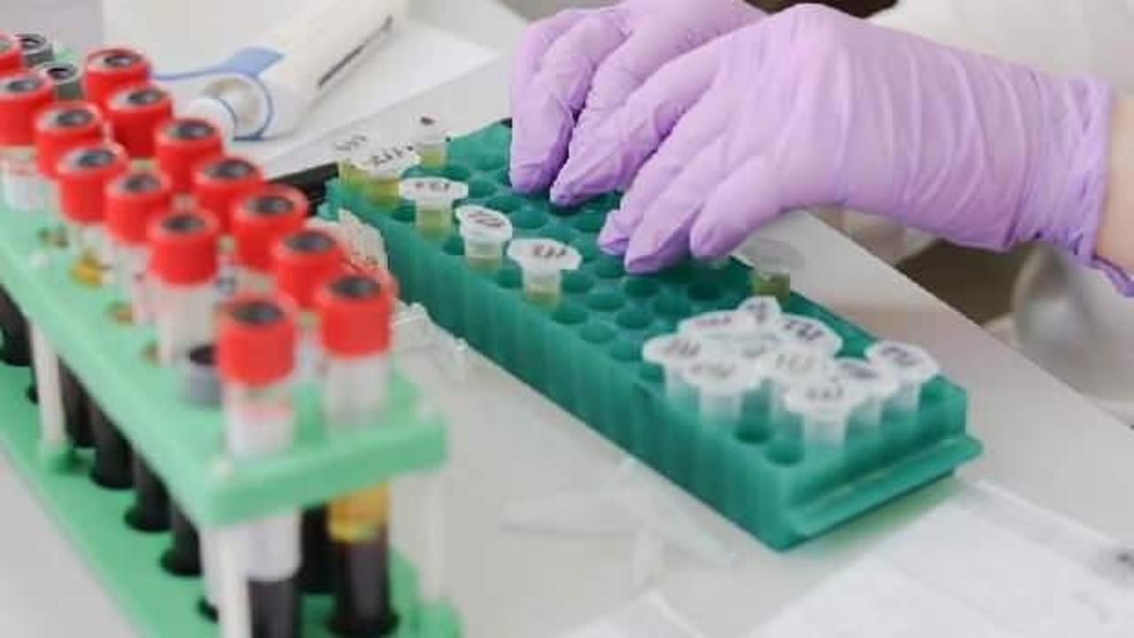Vuhan'da test kuyruğu: 3 milyon 750 kişiye virüs testi yapıldı
