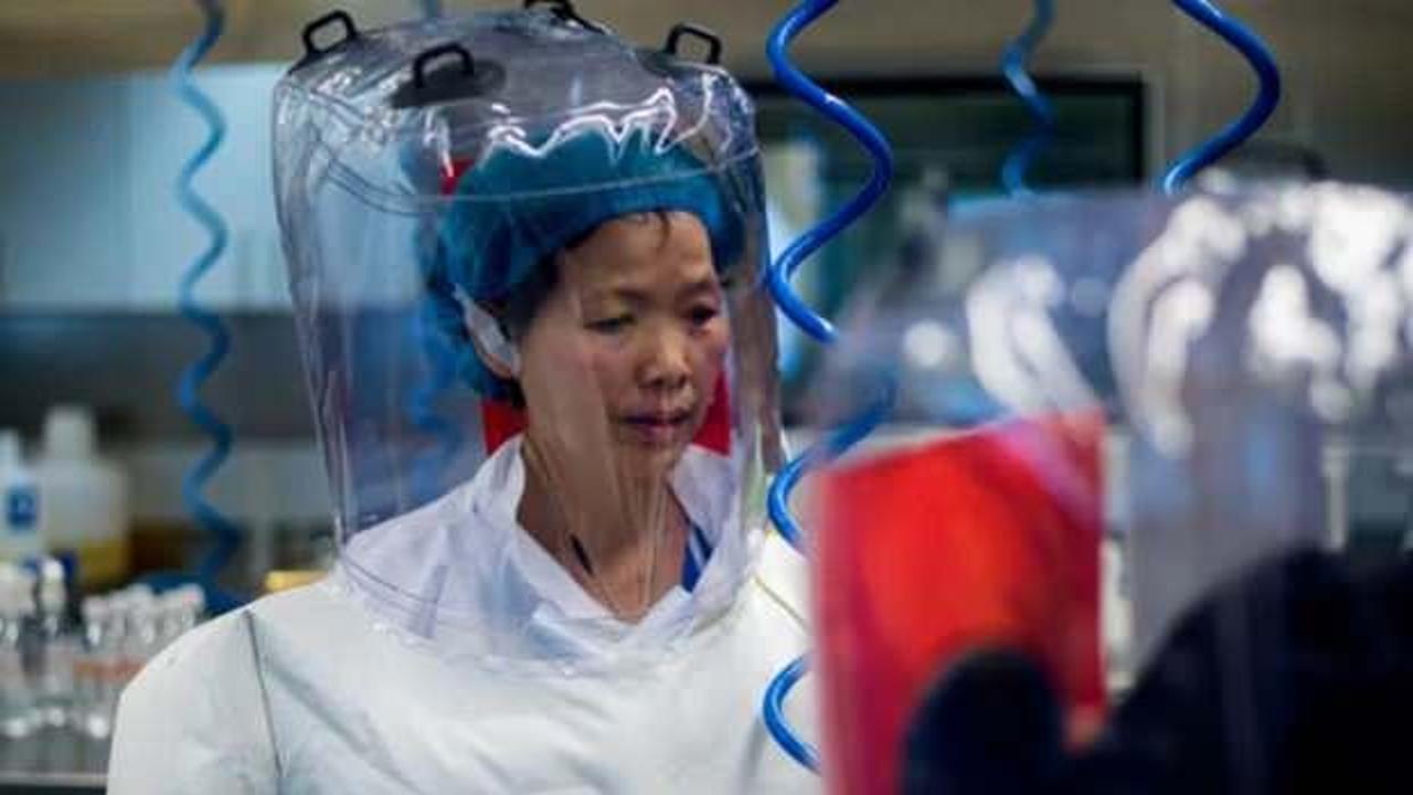 'Yarasa kadın' Shi Zhengli: Koronavirüsten daha kötü...