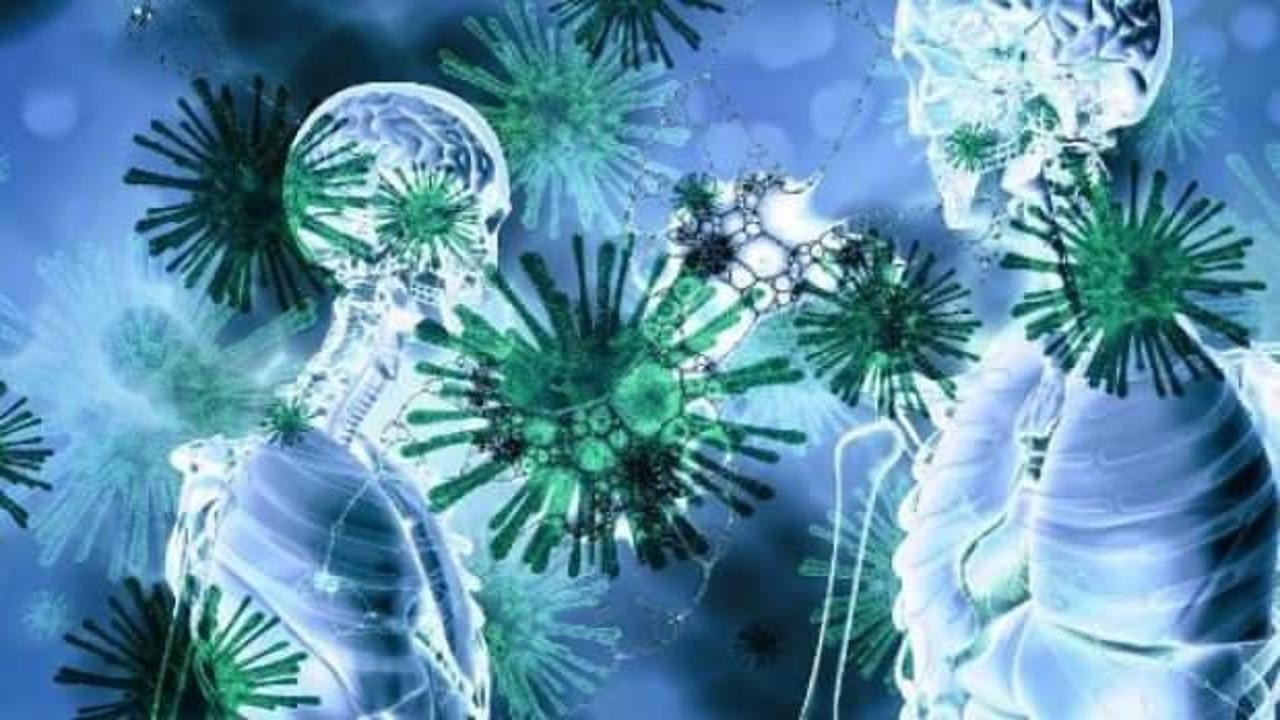 Avusturya'da koronavirüs hastası bir kişiye akciğer nakli