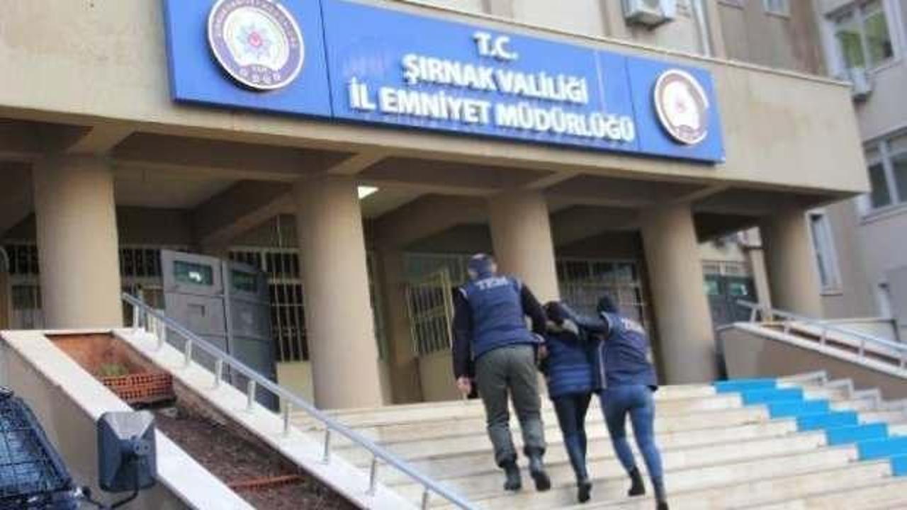 HDP'nin Cizre İlçe Başkanlığı binasının kapısını ateşe veren kişi, PKK şüphelisi çıktı