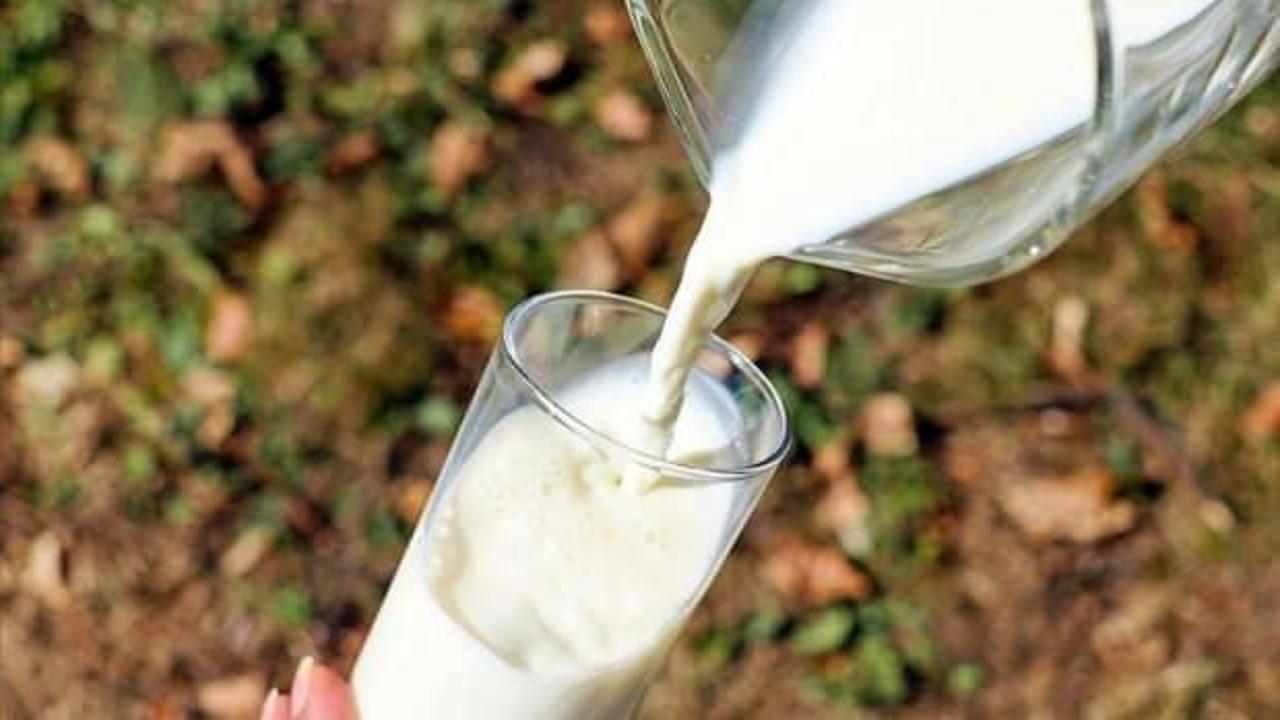 Süt sektöründen ihracatı artırma önerisi