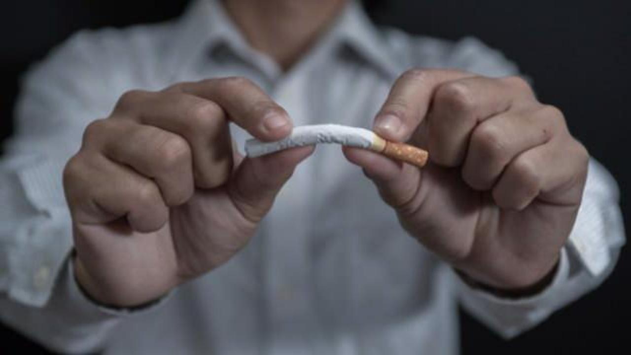 Tütün ürünleri her yıl 8 milyon insanın ölümüne yol açıyor