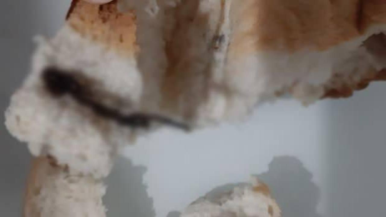 Ekmeğin i&ccedil;inden &ccedil;ıkanlar mide bulandırdı