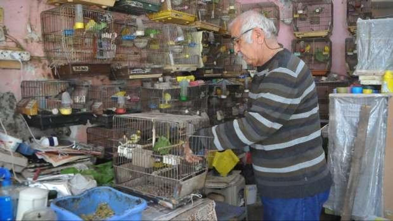 Emekli &ouml;ğretmenin 'kuş' tutkusu g&ouml;renleri hayrete d&uuml;ş&uuml;r&uuml;yor