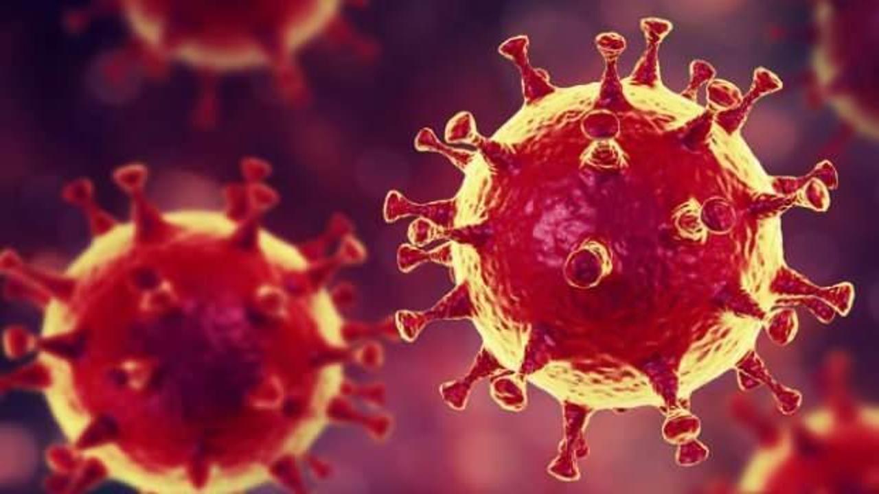 Koronavirüsten en çok etkilenen ülkelerden İspanya'da sevindiren haber