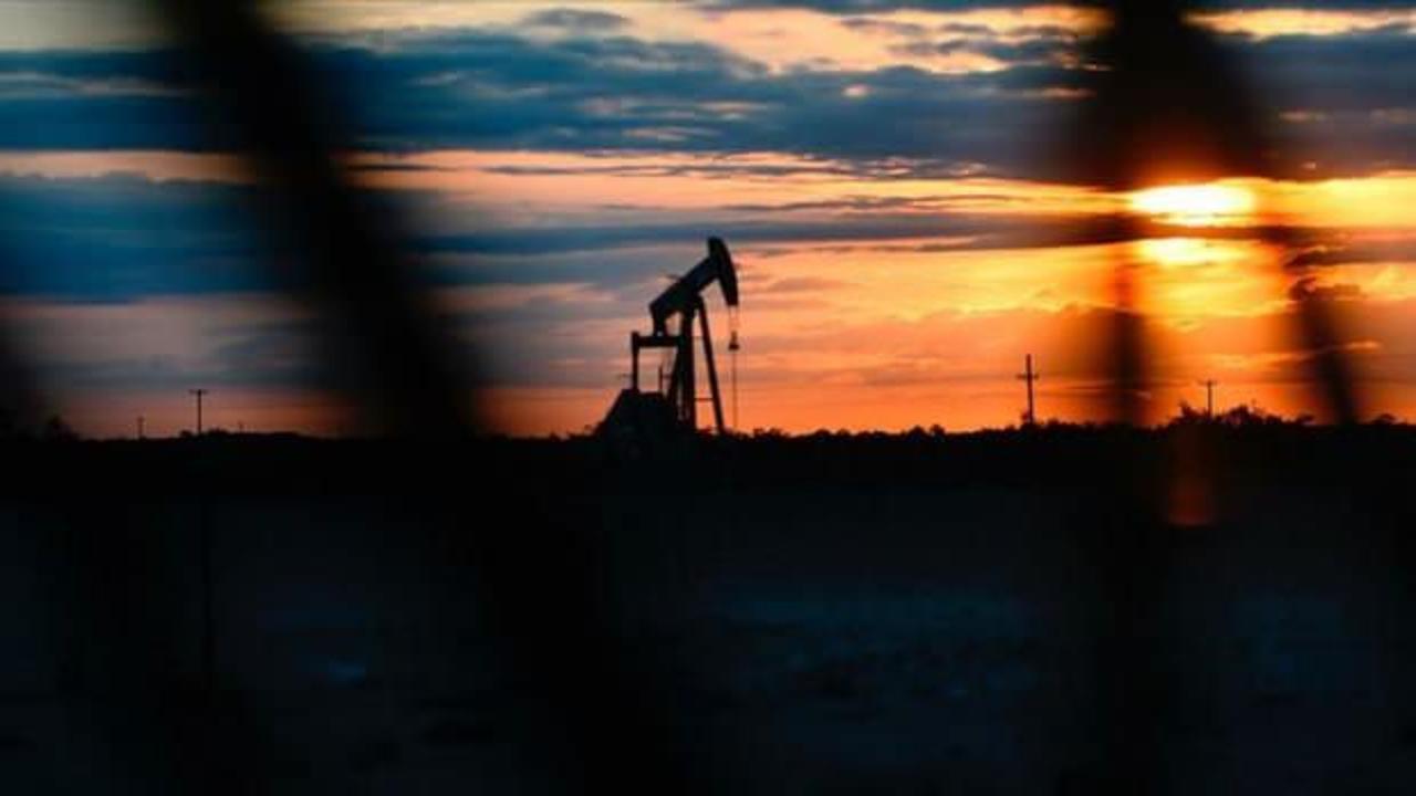 "OPEC'in kararı piyasayı olumlu etkileyecek"