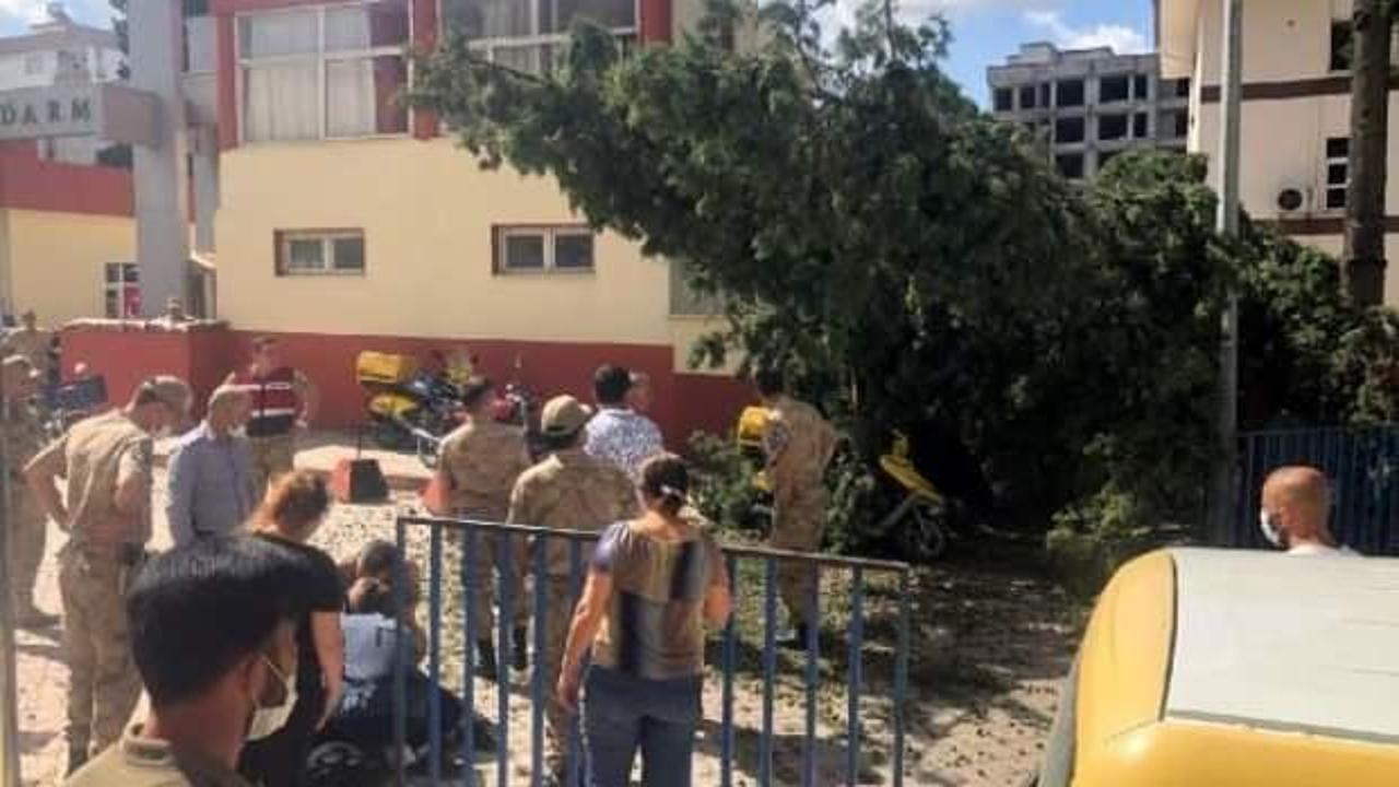 Posta dağıtan kadının &uuml;zerine ağa&ccedil; d&uuml;şt&uuml;