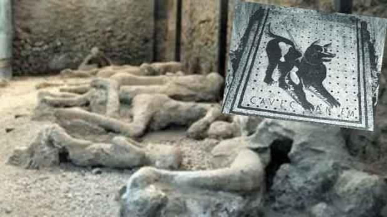 Taşlaşan kent Pompeii'de ilginç keşif: Dikkat köpek var