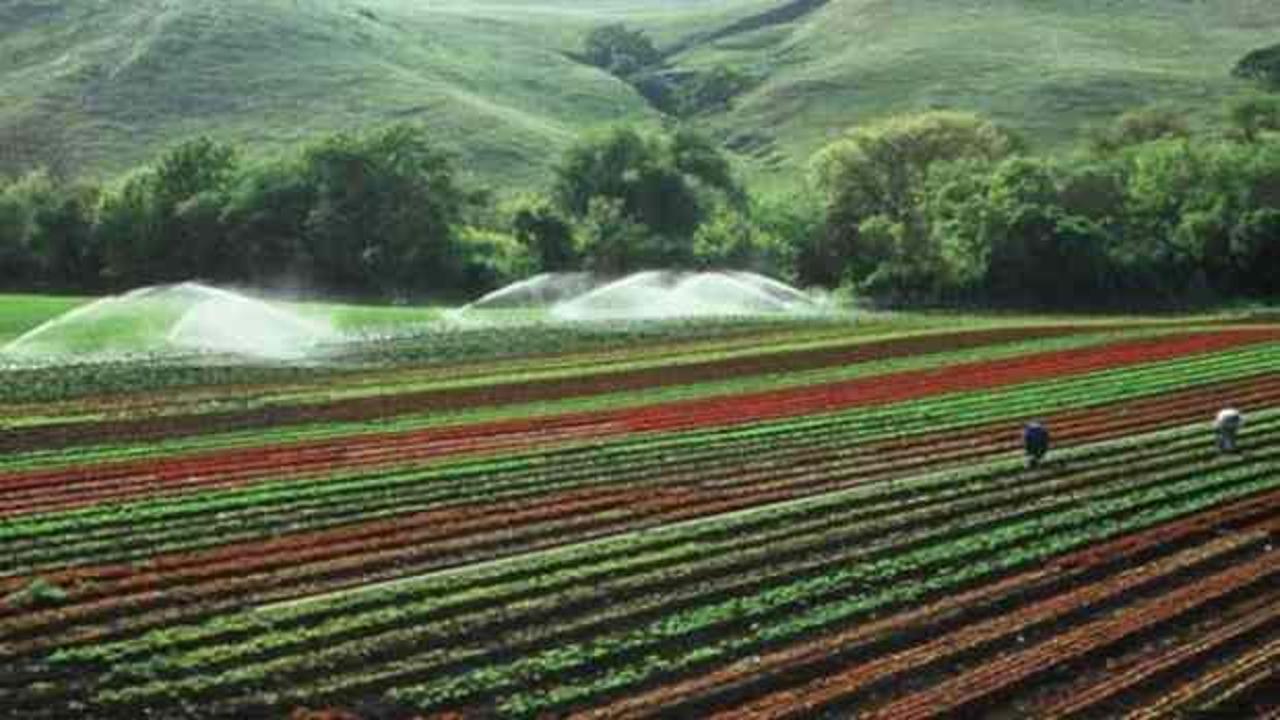 Hangi illerde ücretsiz tarım arazisi verilecek? 