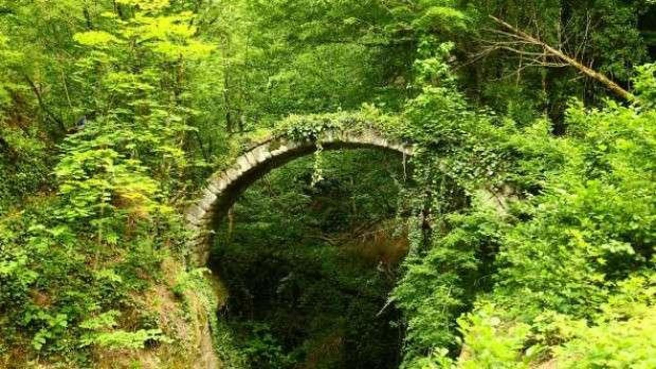 Artvin'de, tarihi kemer k&ouml;pr&uuml; keşfedildi