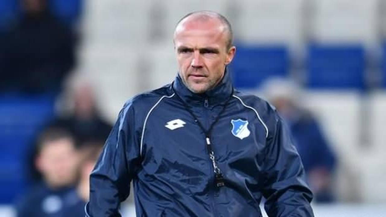 Hoffenheim, Alfred Schreuder'i yolladı
