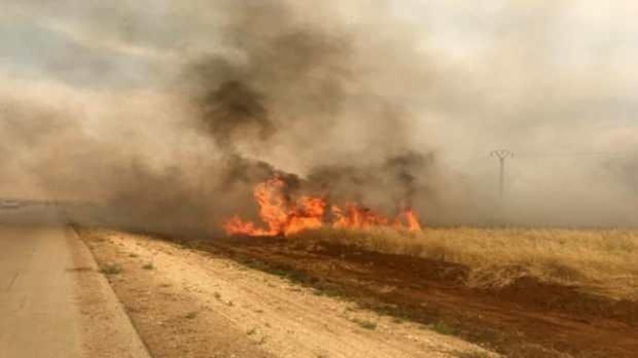 PKK/YPG, Suriye'nin kuzeyinde tarlaları ateşe vererek sivillere saldırıyor