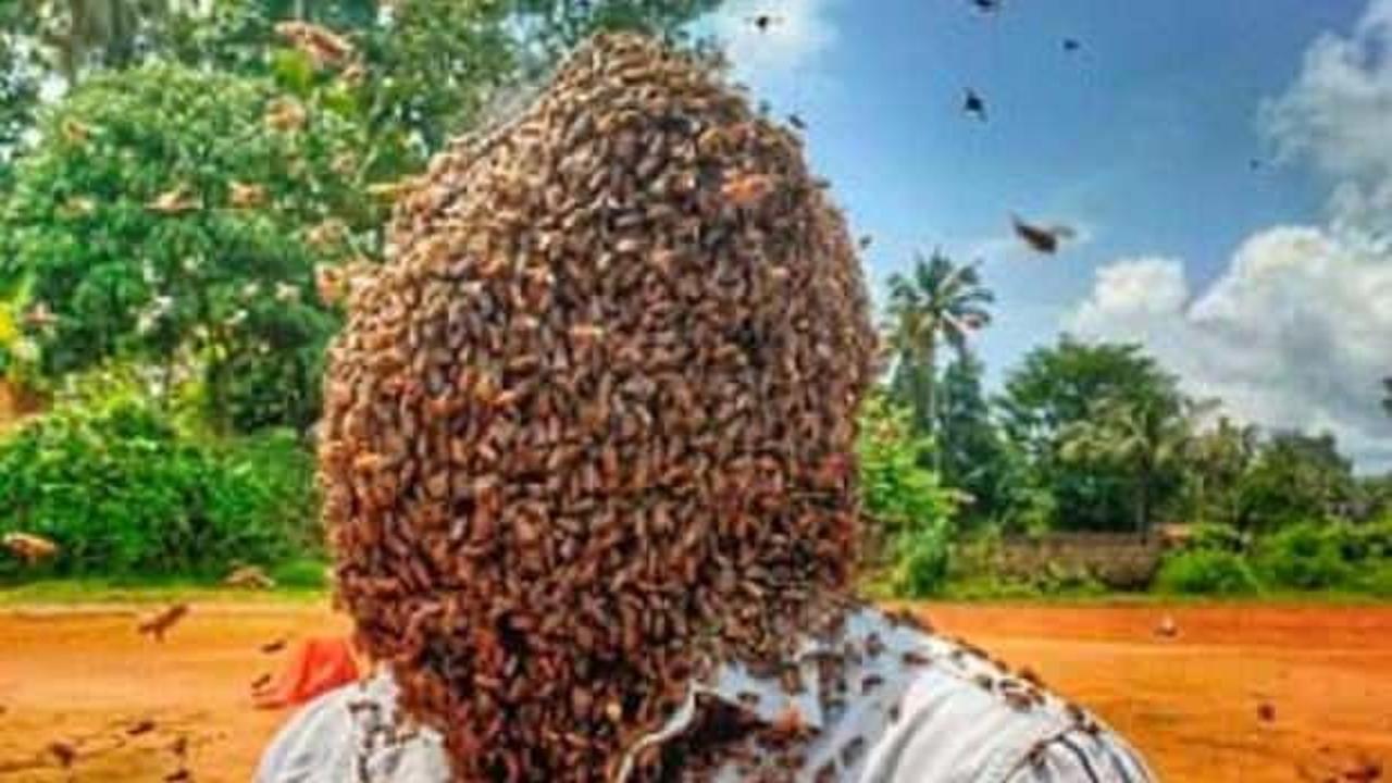 60 bin arıyı kafasında tuttu, rekorlar kitabına girdi
