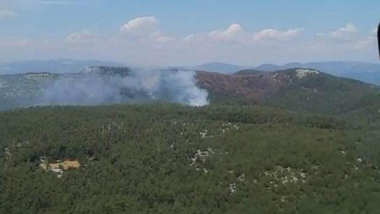 Milas'ta çıkan orman yangınında bir hektar ormanlık alan zarar gördü