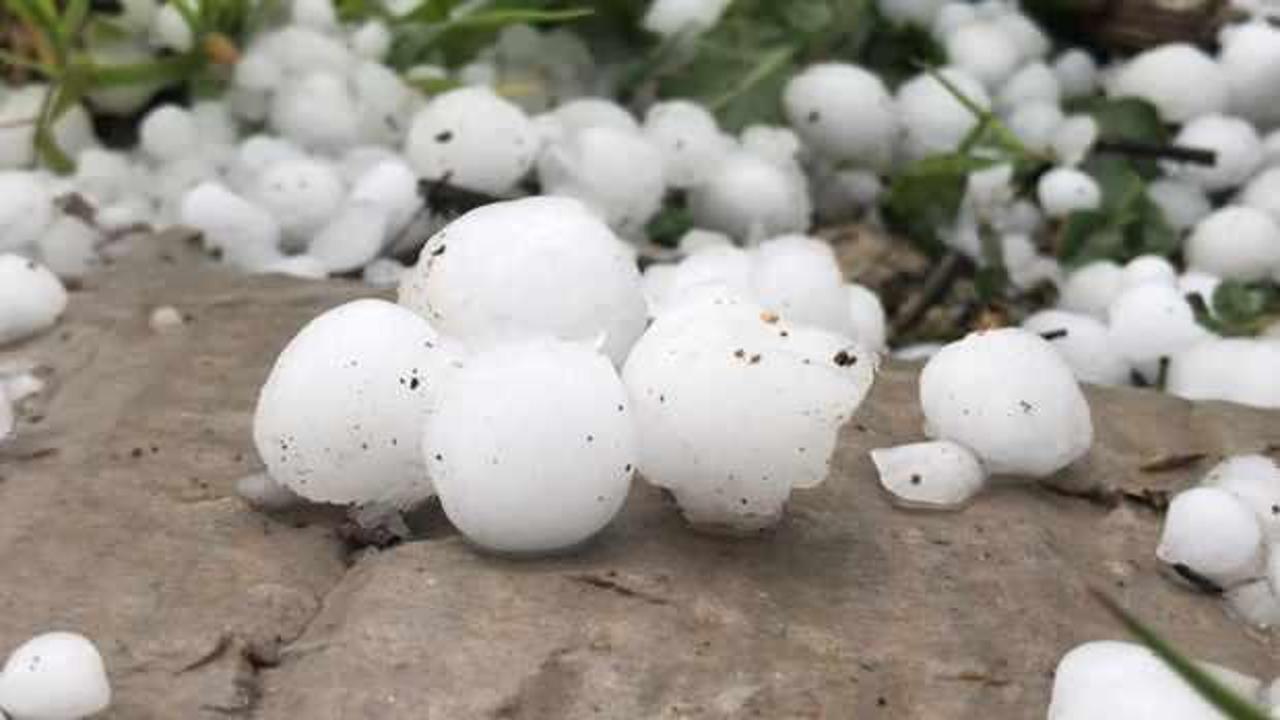 Sarıkamış&rsquo;ta ceviz b&uuml;y&uuml;kl&uuml;ğ&uuml;nde dolu yağdı