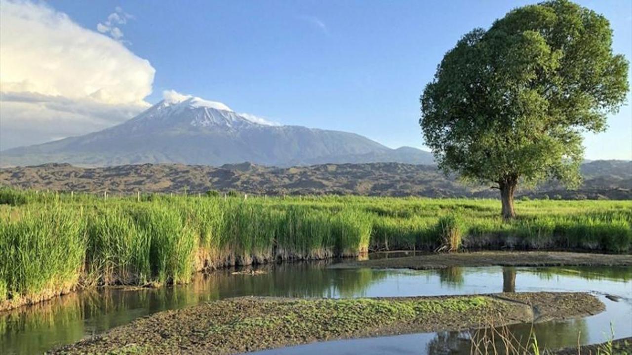 Ağrı Dağı Milli Parkı yaban hayatı zenginliğiyle ilgi çekiyor