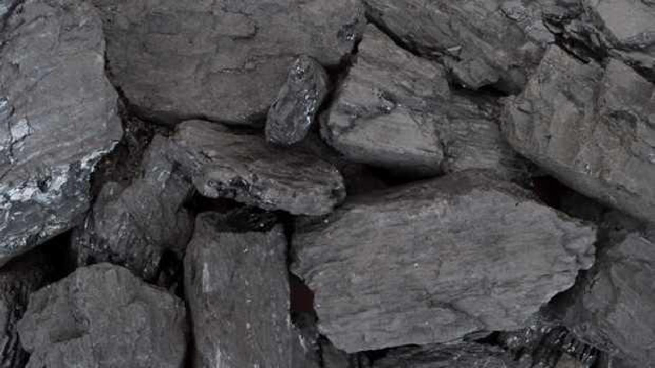 Kömür tüketimi zirveye çıktı
