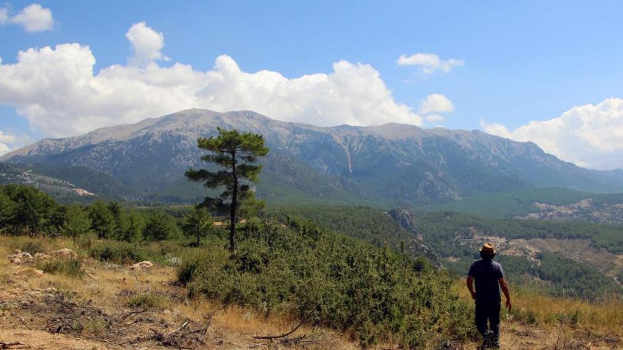 Termessos Antik Kenti'nde 2300 yıllık ünlü dağ bulundu