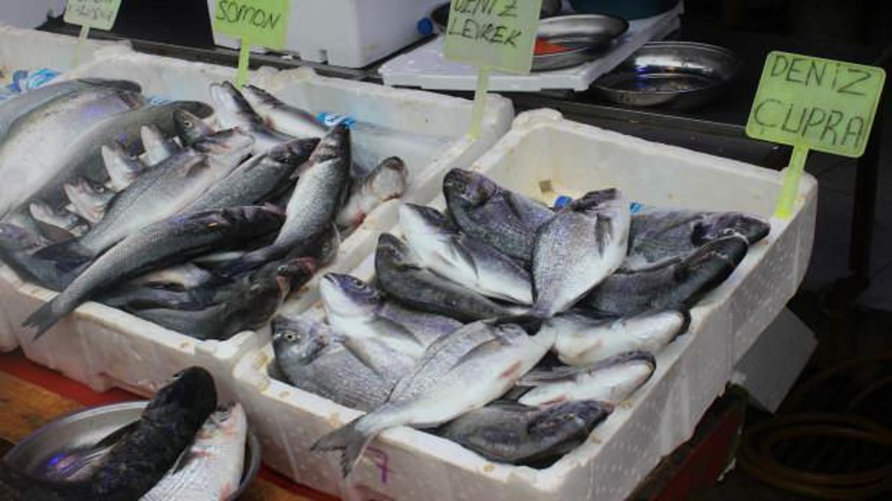 Yaz mevsiminde kültür balıkları tezgahlarda yer alıyor