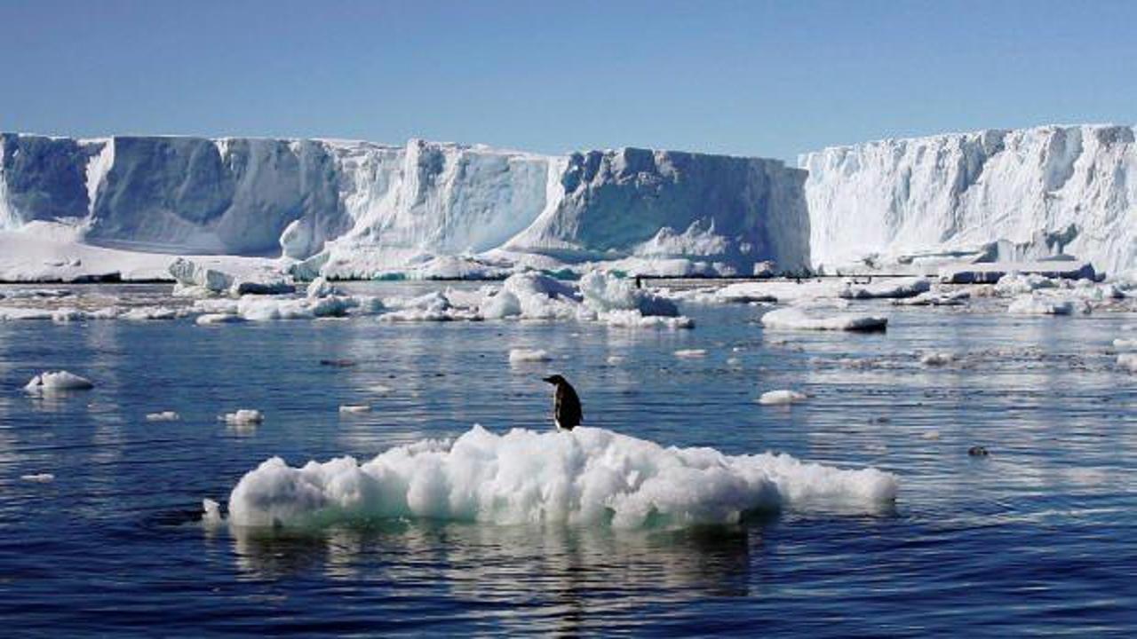 Güney Kutbunda yüksek sıcaklık: Üç kat arttı