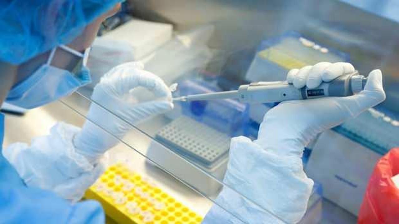 Hindistan, ikinci Kovid-19 aşı adayı için klinik denemeye onay verdi